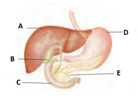 دریافت سوال 35