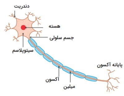 دریافت سوال 16