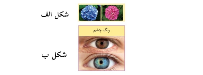 دریافت سوال 12