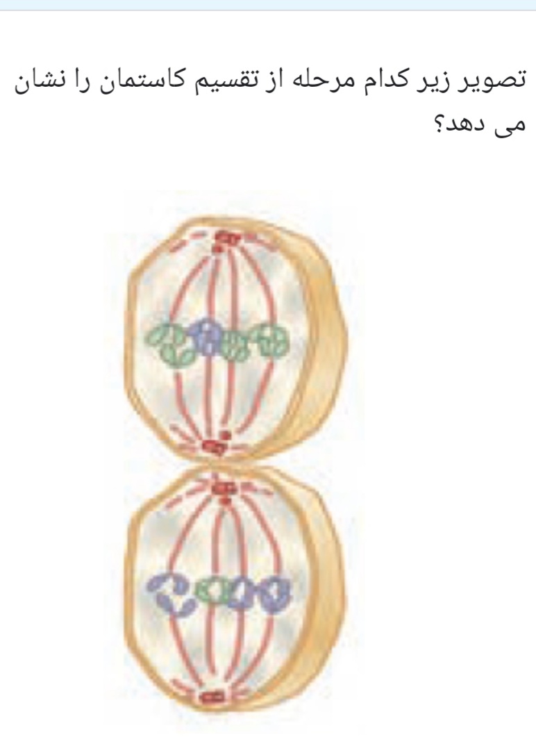 دریافت سوال 5