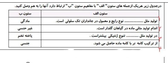 دریافت سوال 6