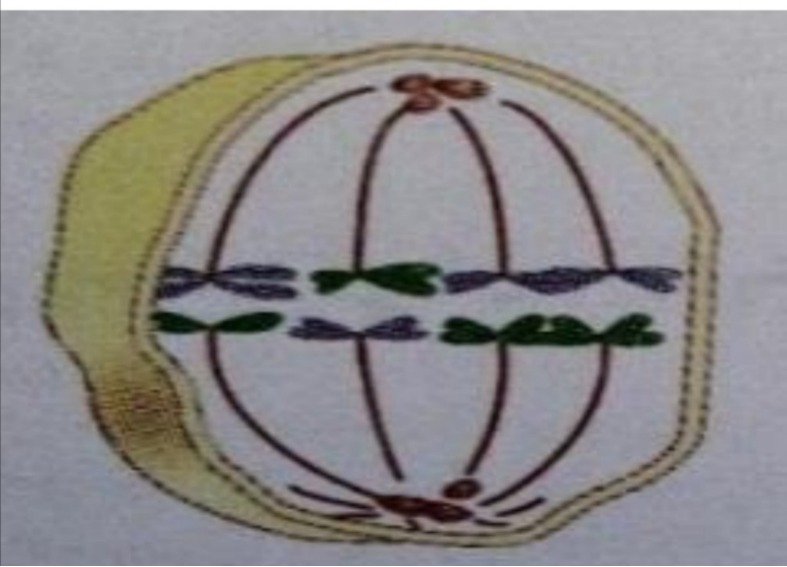 دریافت سوال 52
