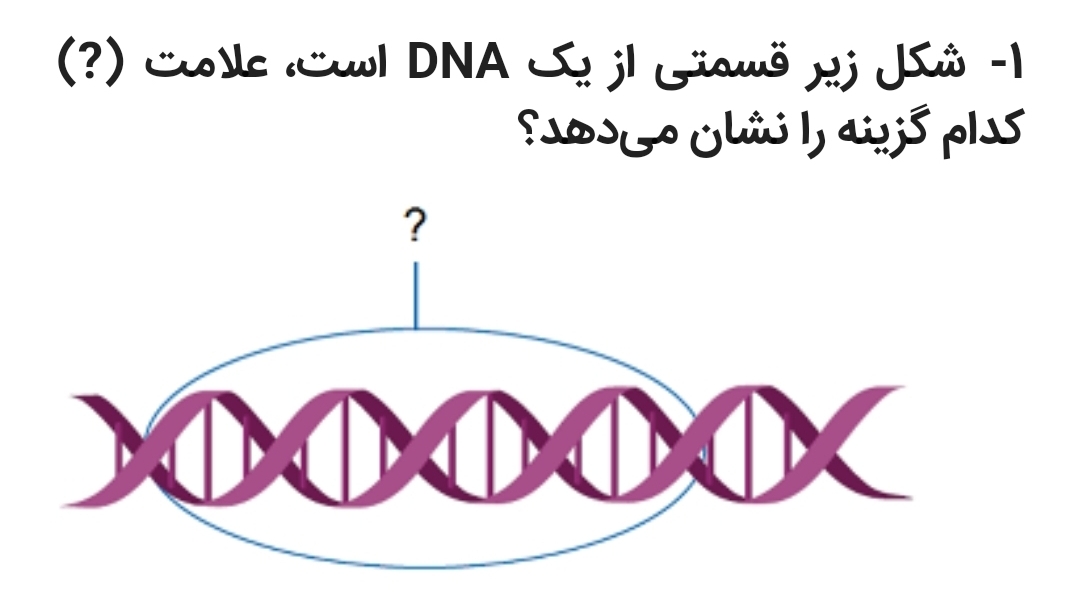 دریافت سوال 6