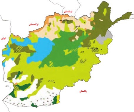 دریافت سوال 5