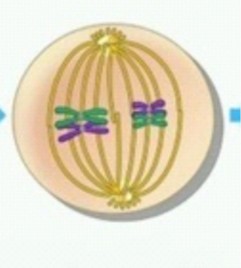 دریافت سوال 8