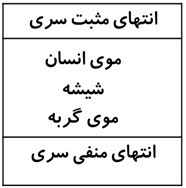 دریافت سوال 1