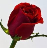 دریافت سوال 2