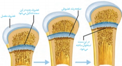 دریافت سوال 28