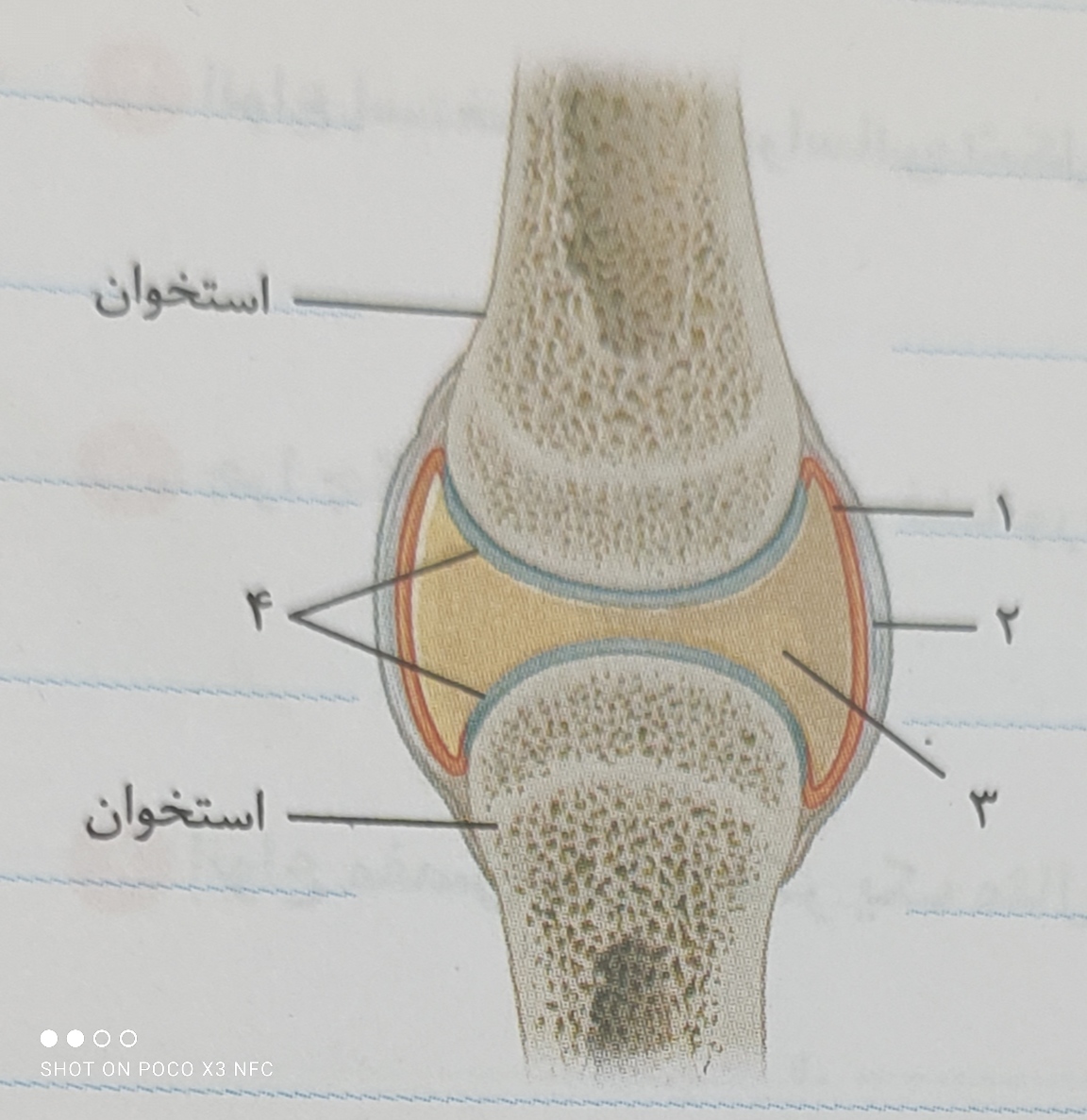 دریافت سوال 10