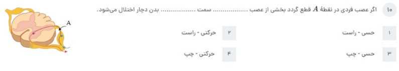 دریافت سوال 10