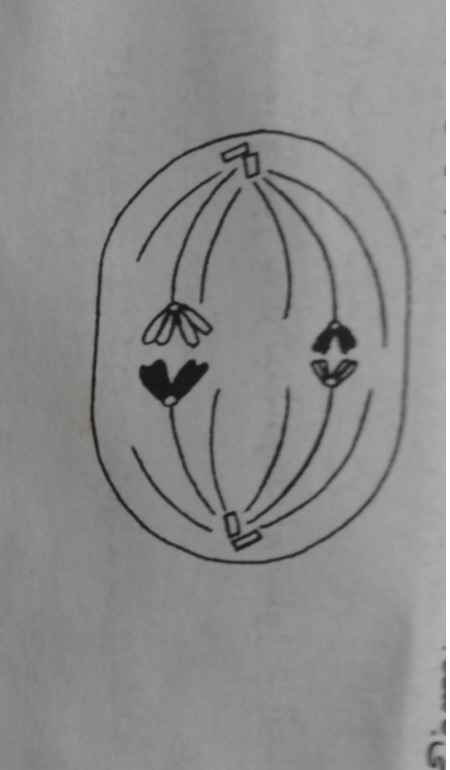 دریافت سوال 5