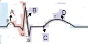 دریافت سوال 8