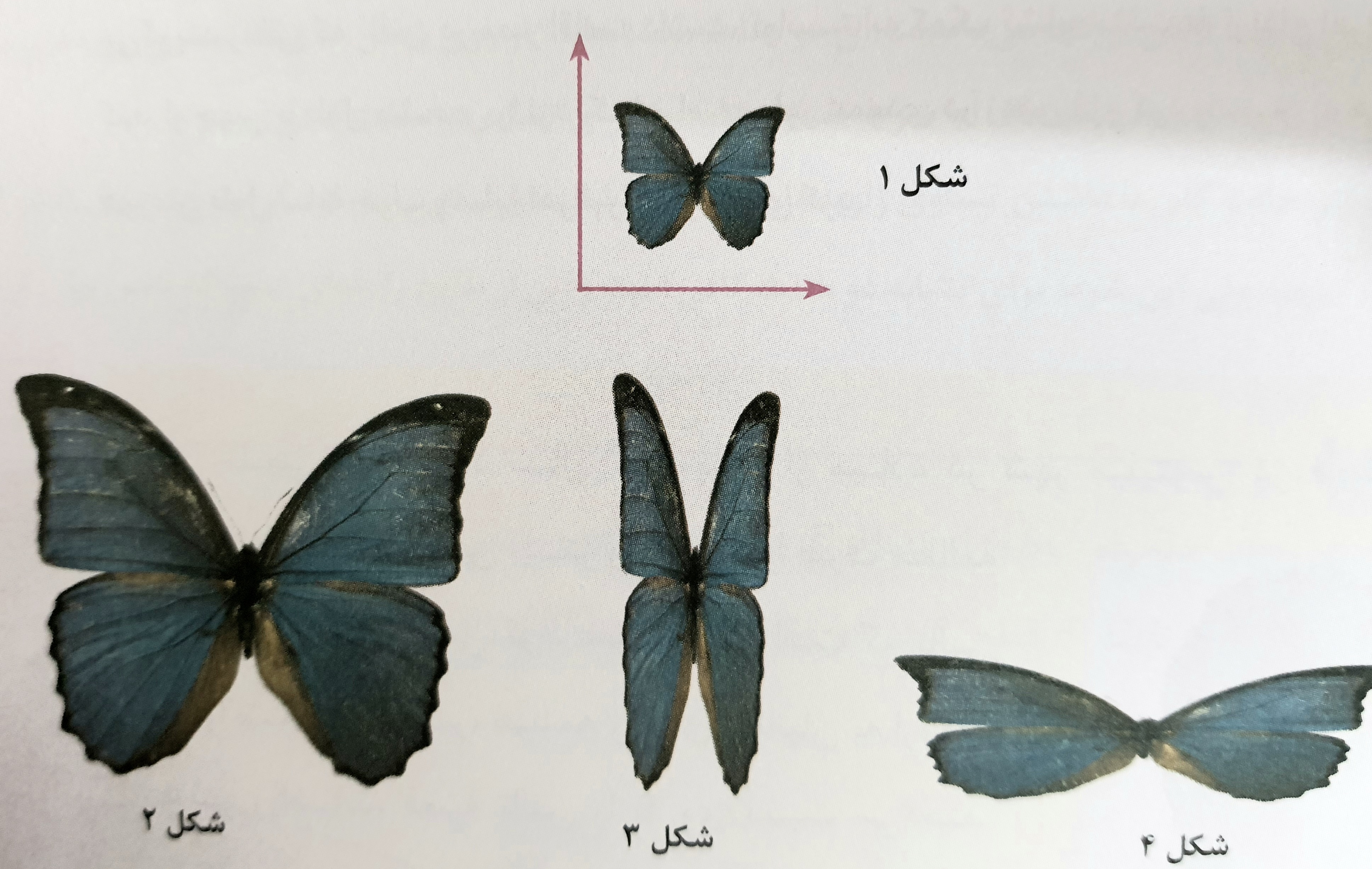 دریافت سوال 17