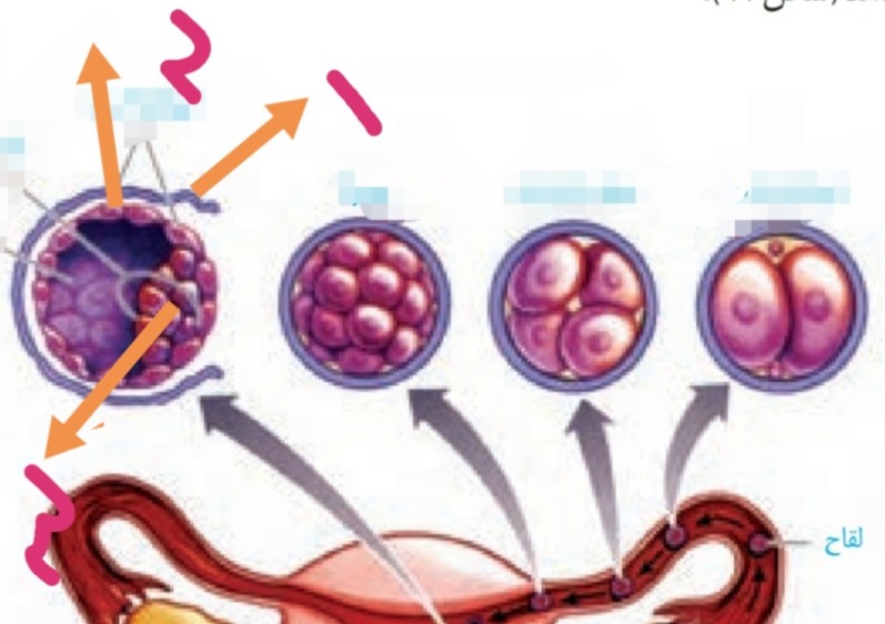 دریافت سوال 73