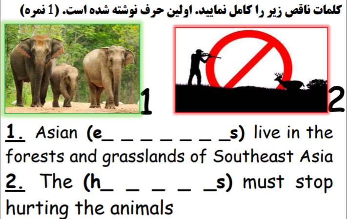 دریافت سوال 1