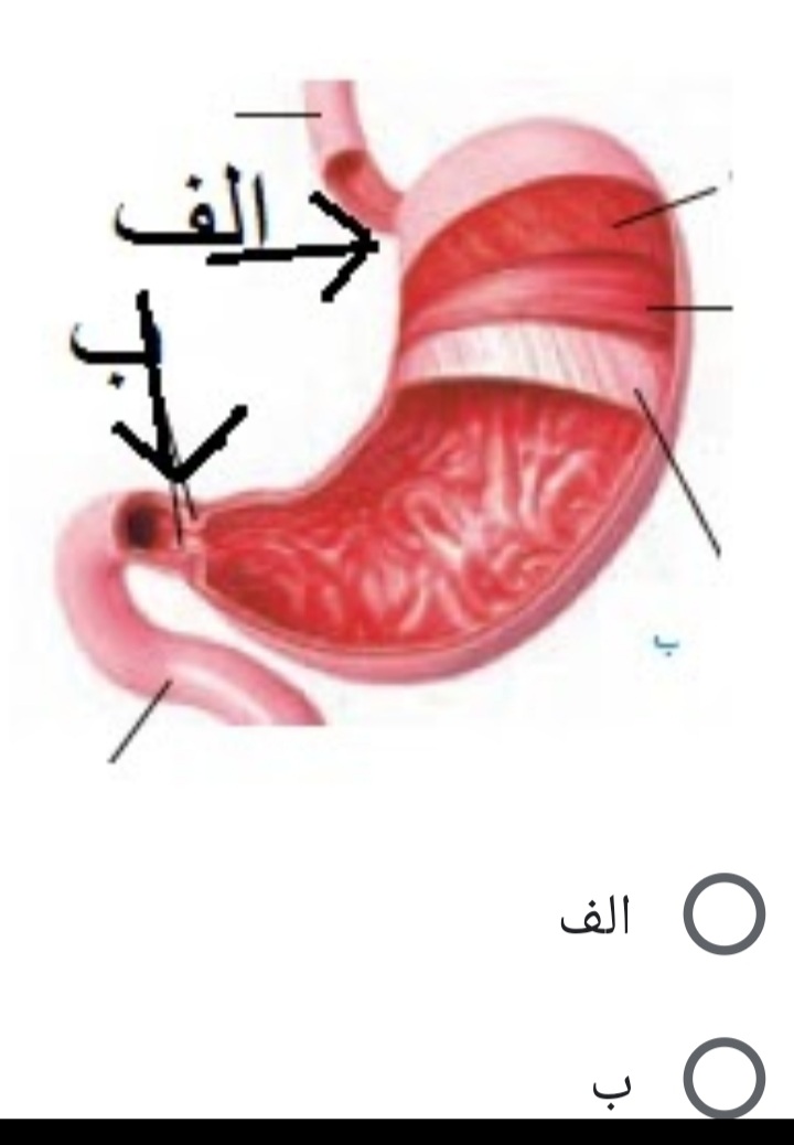 دریافت سوال 6