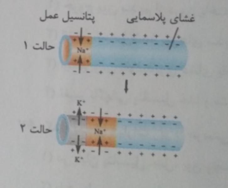 دریافت سوال 10