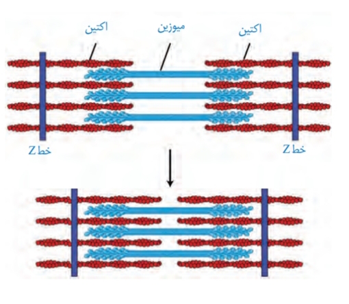 دریافت سوال 32