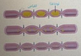 دریافت سوال 3