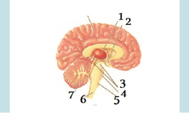 دریافت سوال 3