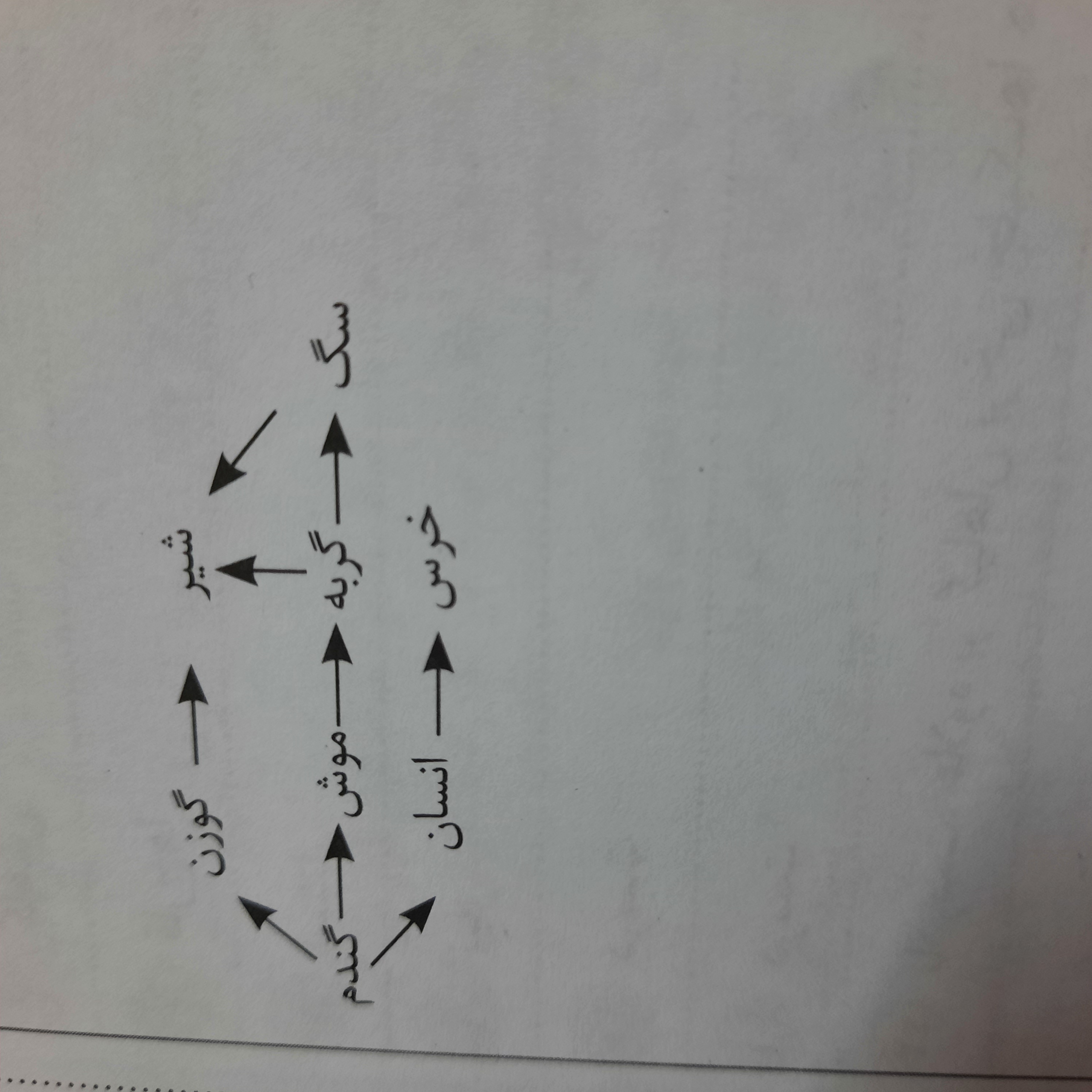 دریافت سوال 6