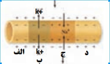 دریافت سوال 16