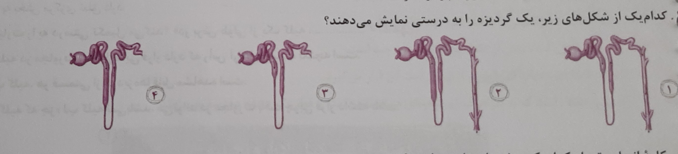 دریافت سوال 26