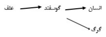 دریافت سوال 11