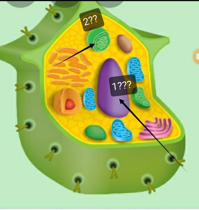 دریافت سوال 25