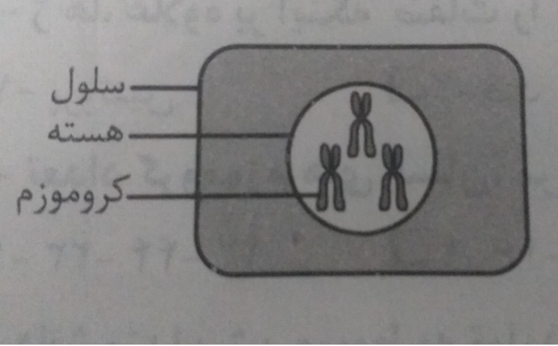 دریافت سوال 2