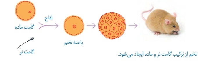 دریافت سوال 9