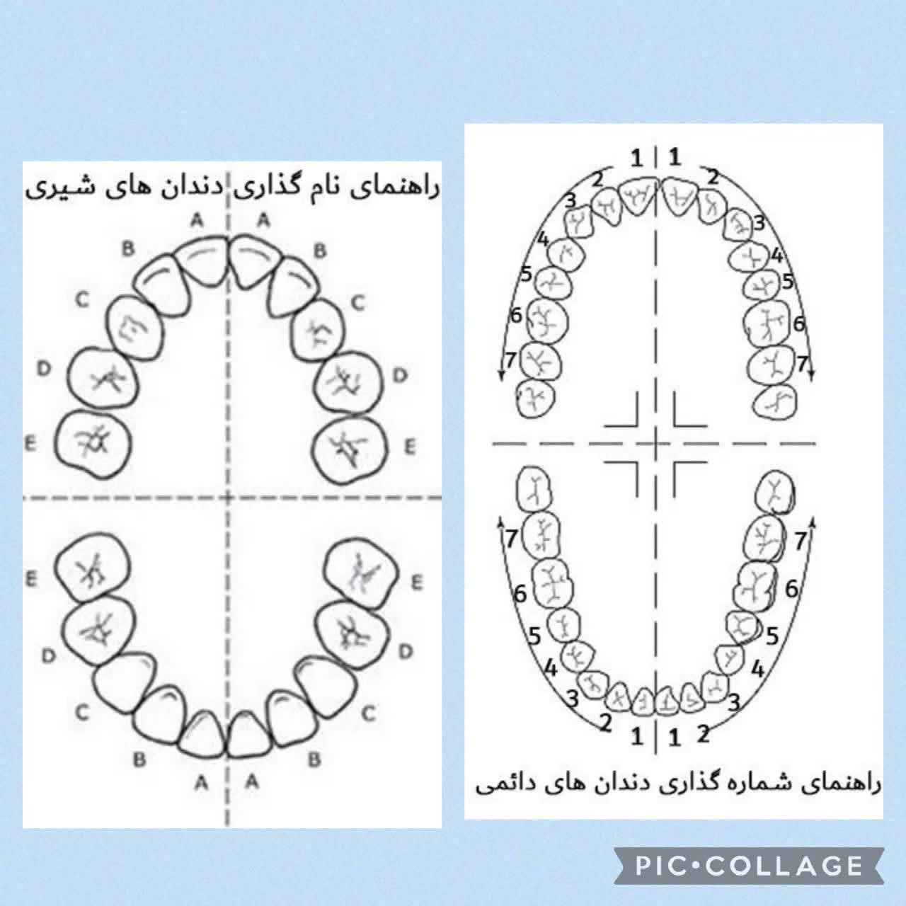 دریافت چند انتخابی 1