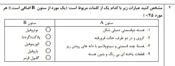 دریافت سوال 3