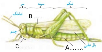 دریافت سوال 14