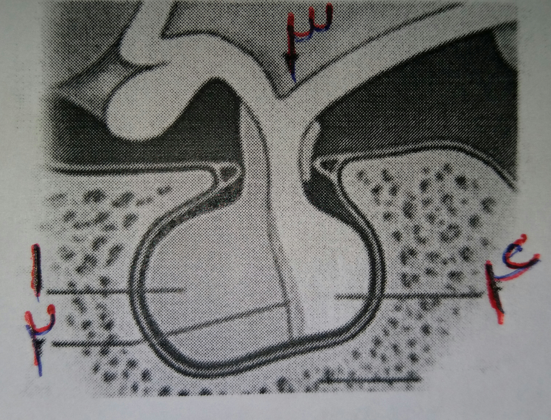 دریافت سوال 6