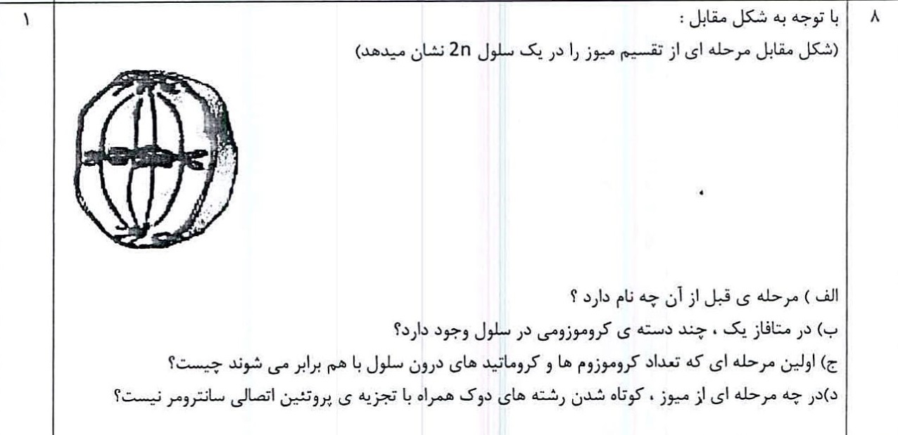 دریافت سوال 8