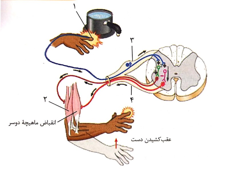 دریافت سوال 9