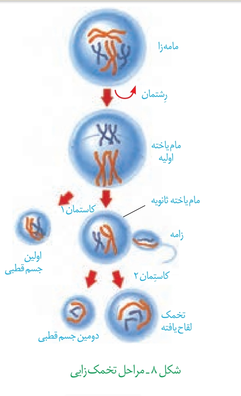 دریافت سوال 28