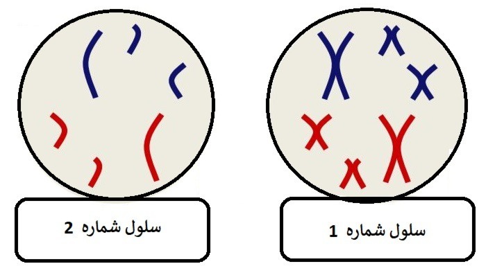 دریافت سوال 17