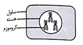 دریافت سوال 15