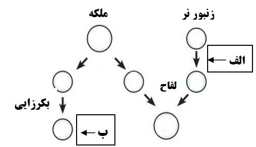 دریافت سوال 6