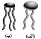 دریافت سوال 16