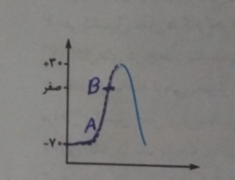 دریافت سوال 3