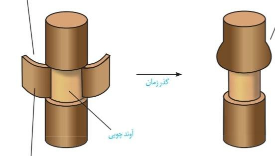 دریافت سوال 19