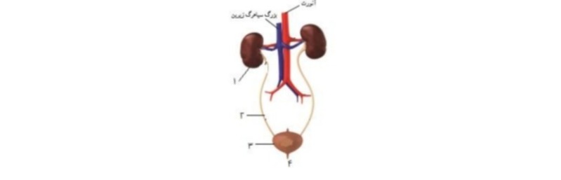 دریافت سوال 25