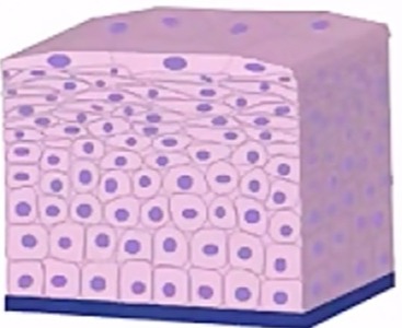 دریافت سوال 1