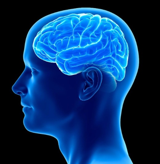 دریافت سوال 13