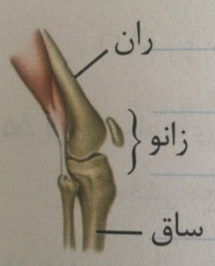 دریافت سوال 22