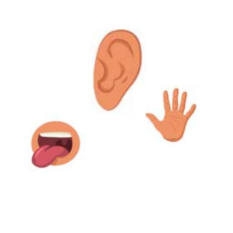 دریافت سوال 21