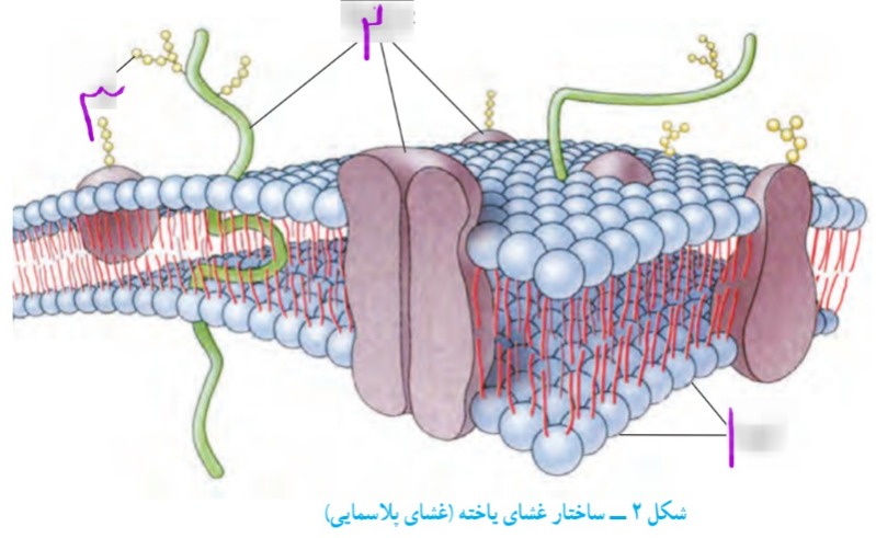 دریافت سوال 10